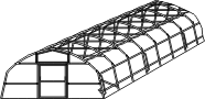 p50