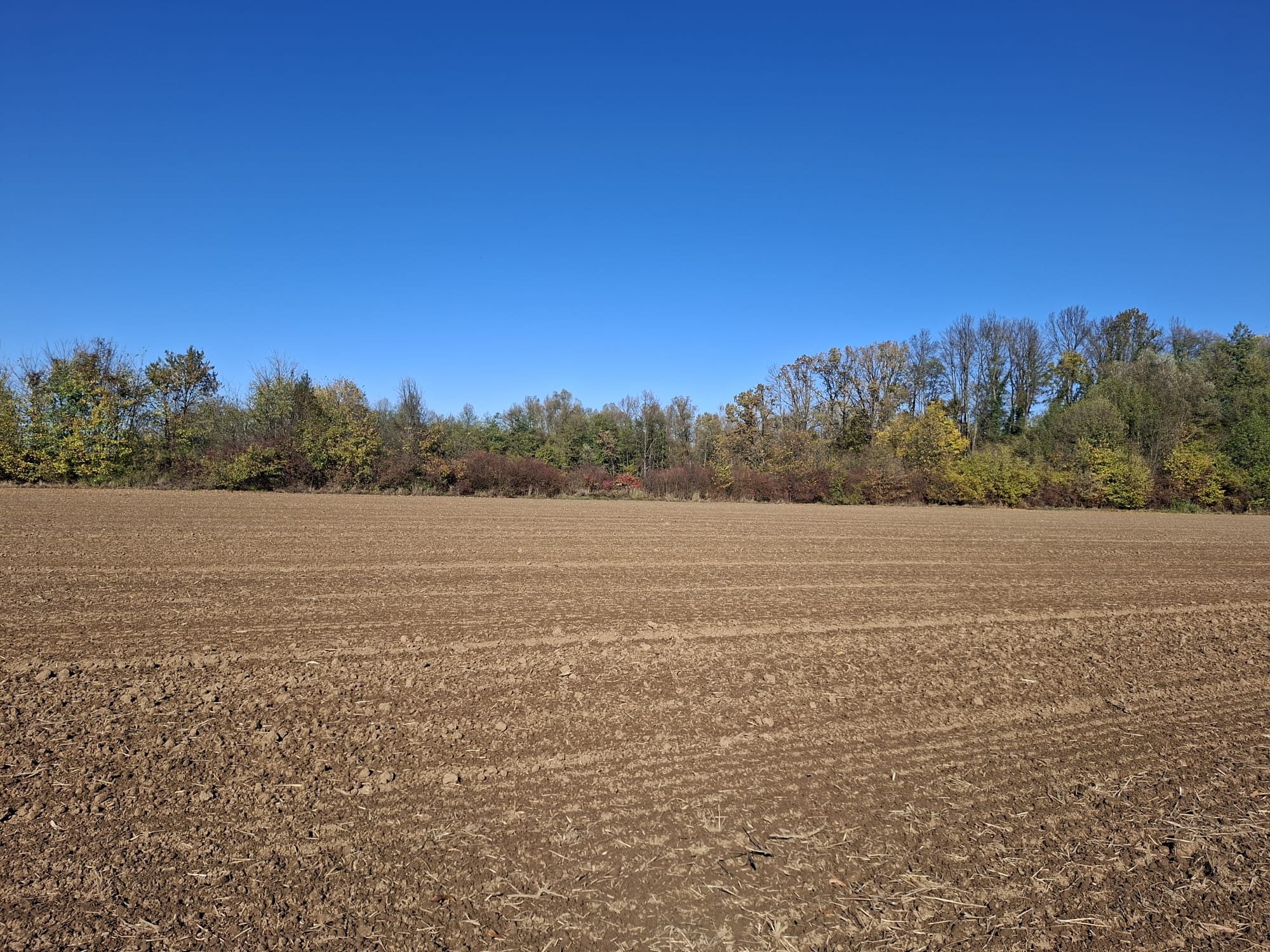 9b728089-4d7c-475a-8f0c-08dea1137641-image