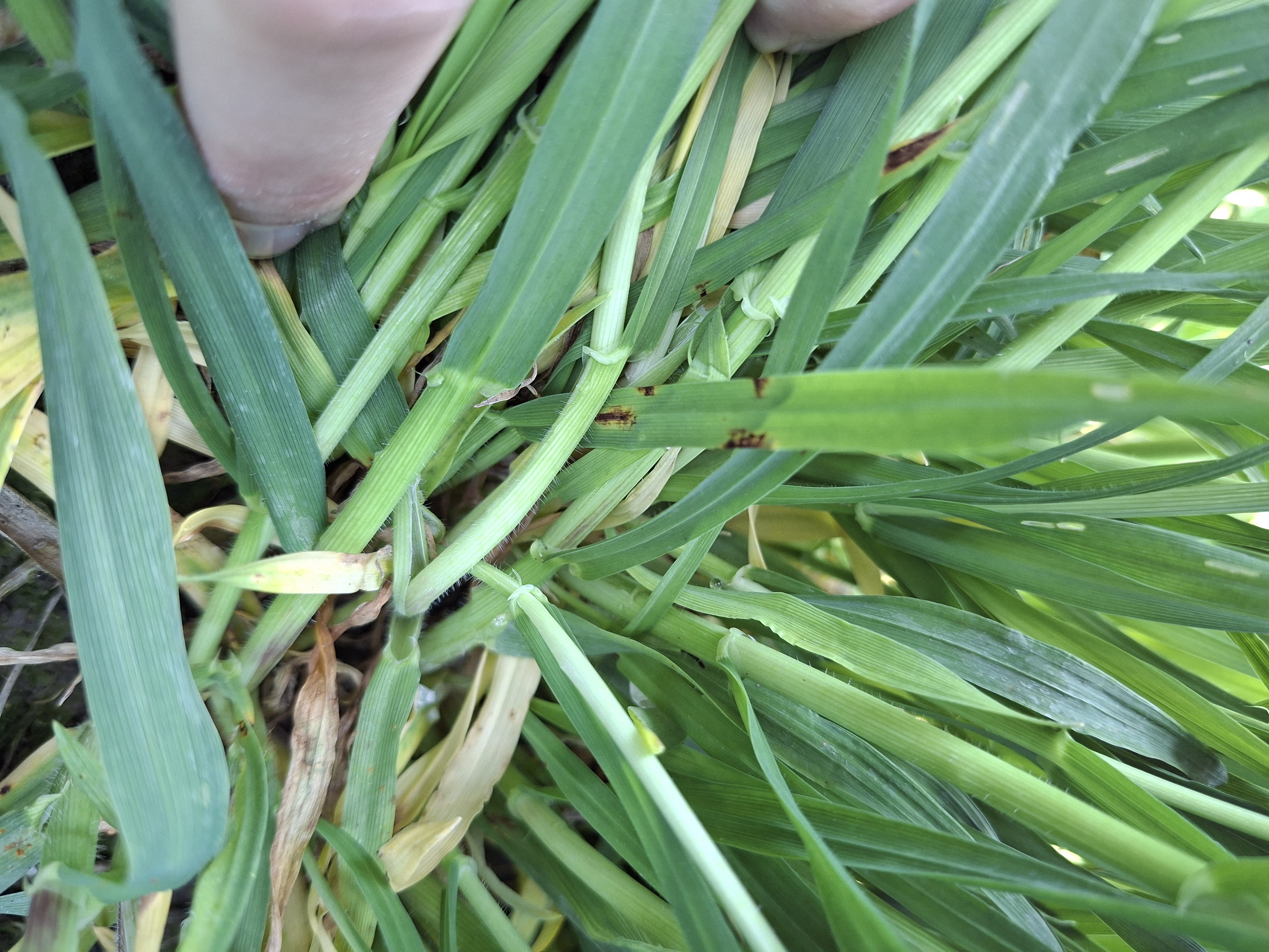 image-fc750dfe-cf94-462d-482d-08de8a38c661