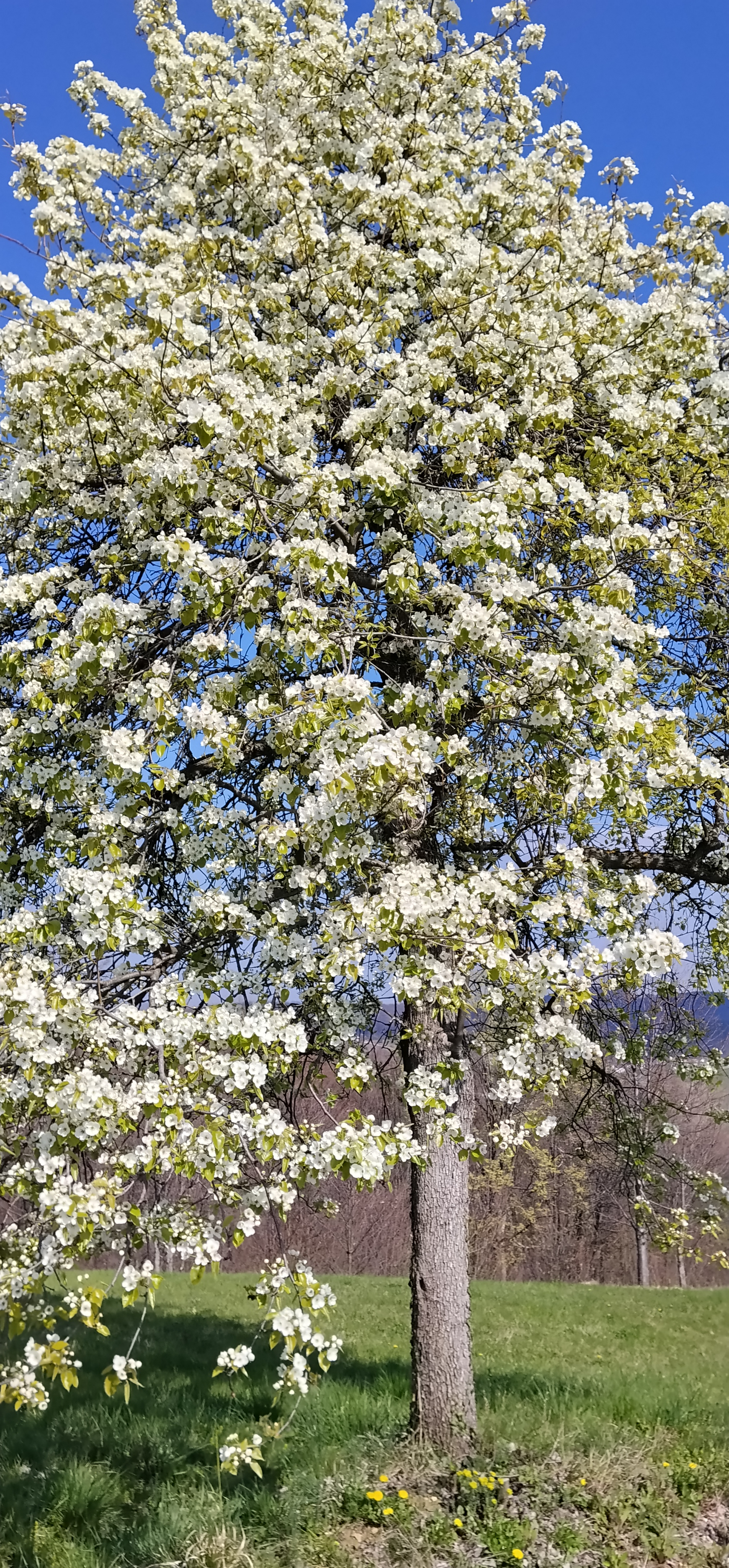 image-18d16ab4-0fd3-4568-482e-08de8a38c661