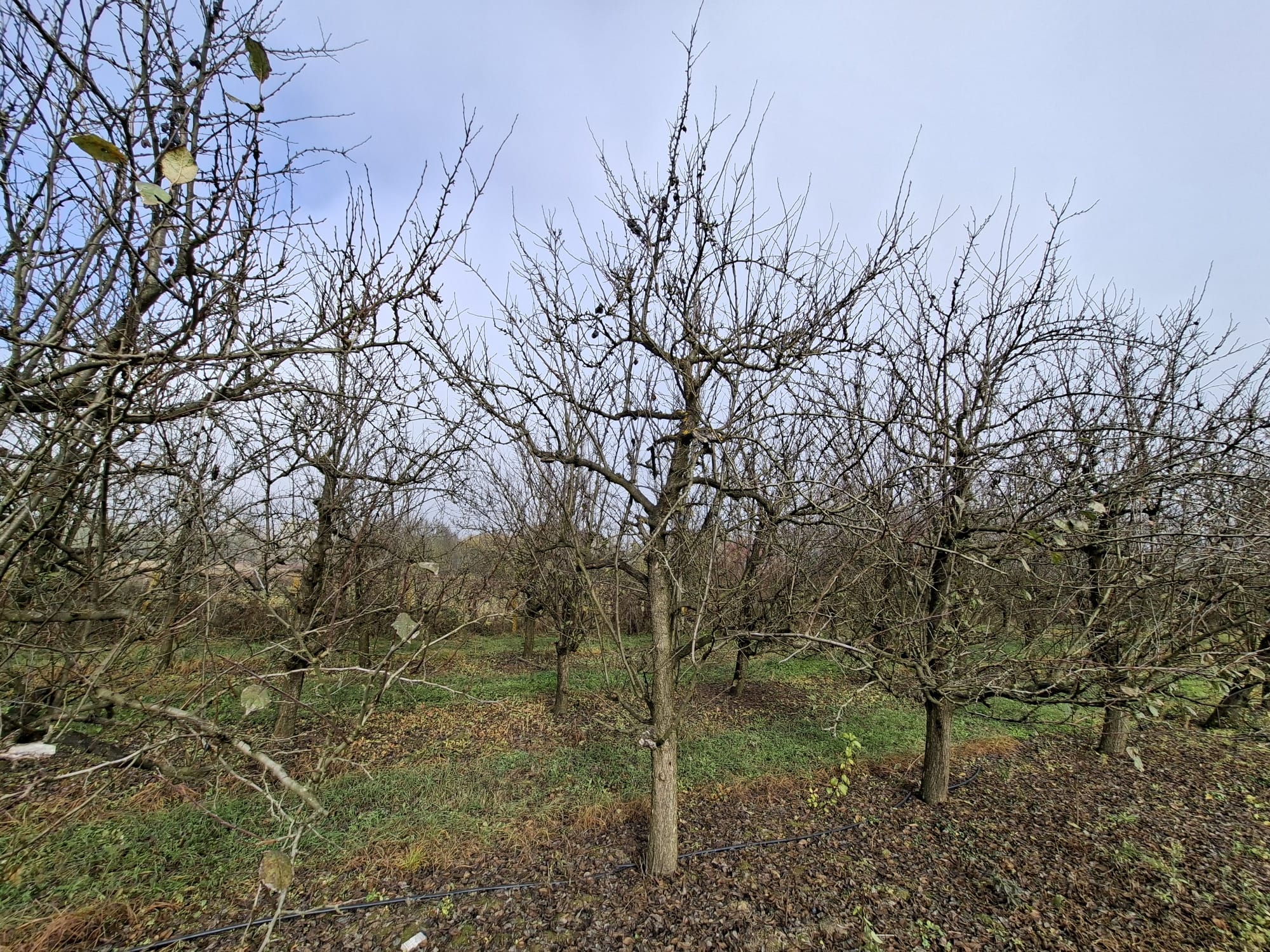 image-caddafa2-d8df-463b-f906-08de6ada1ace