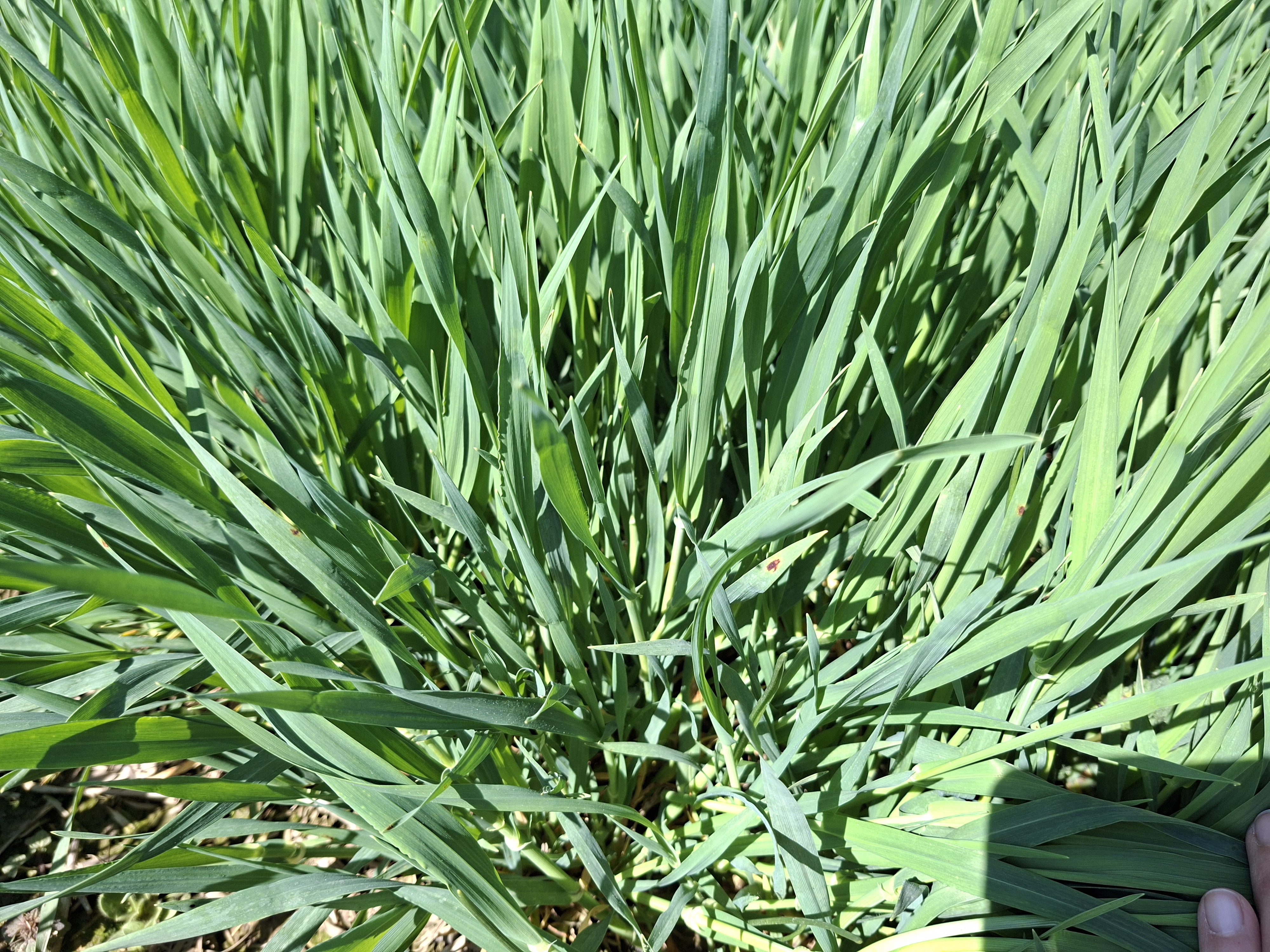 e05b0aba-c6ee-4989-255c-08de94a632e9-image