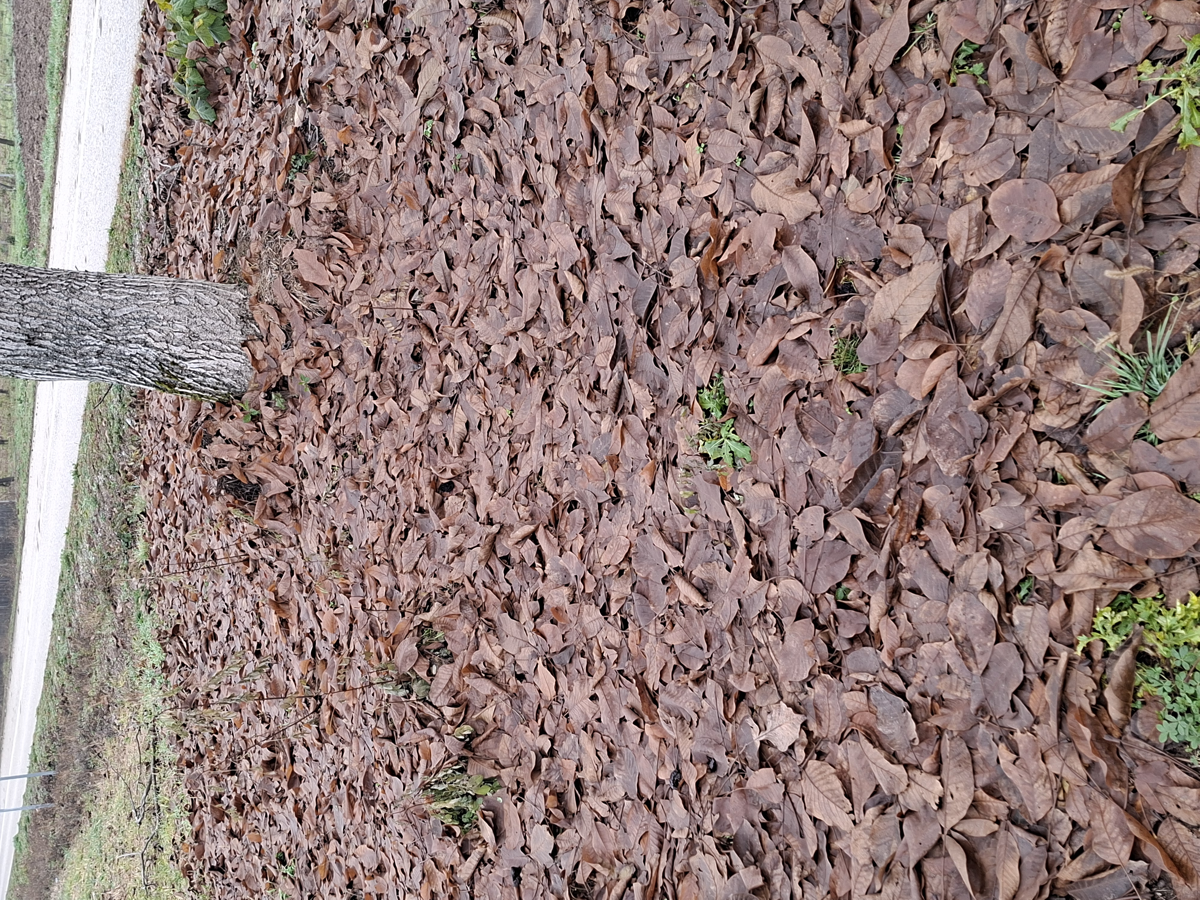 f424a106-2a2d-43e9-1947-08de318dd003-image