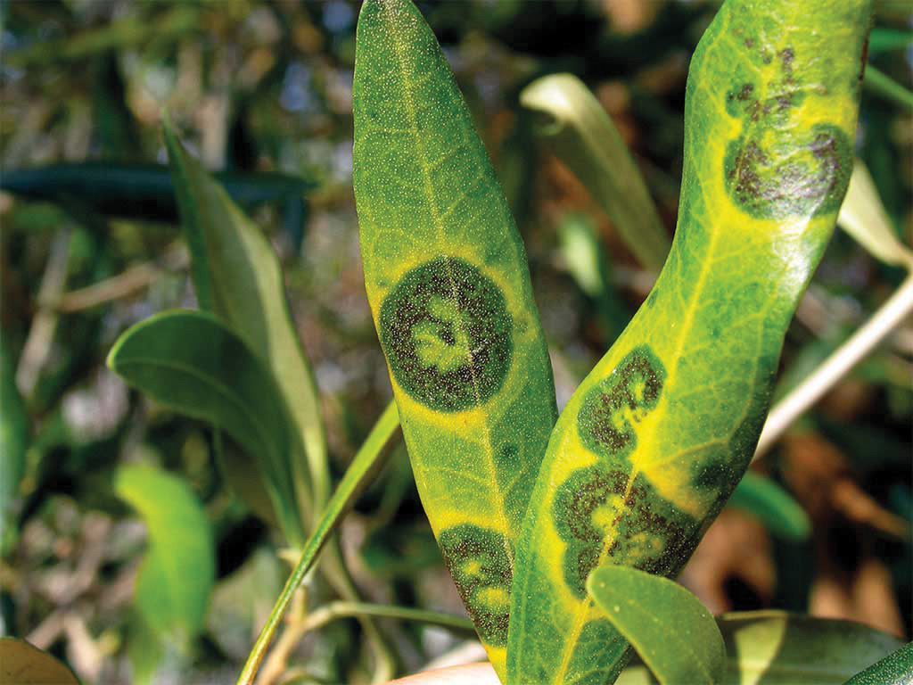 image-e33ce0e7-960d-4276-7b75-08de7dab62c8