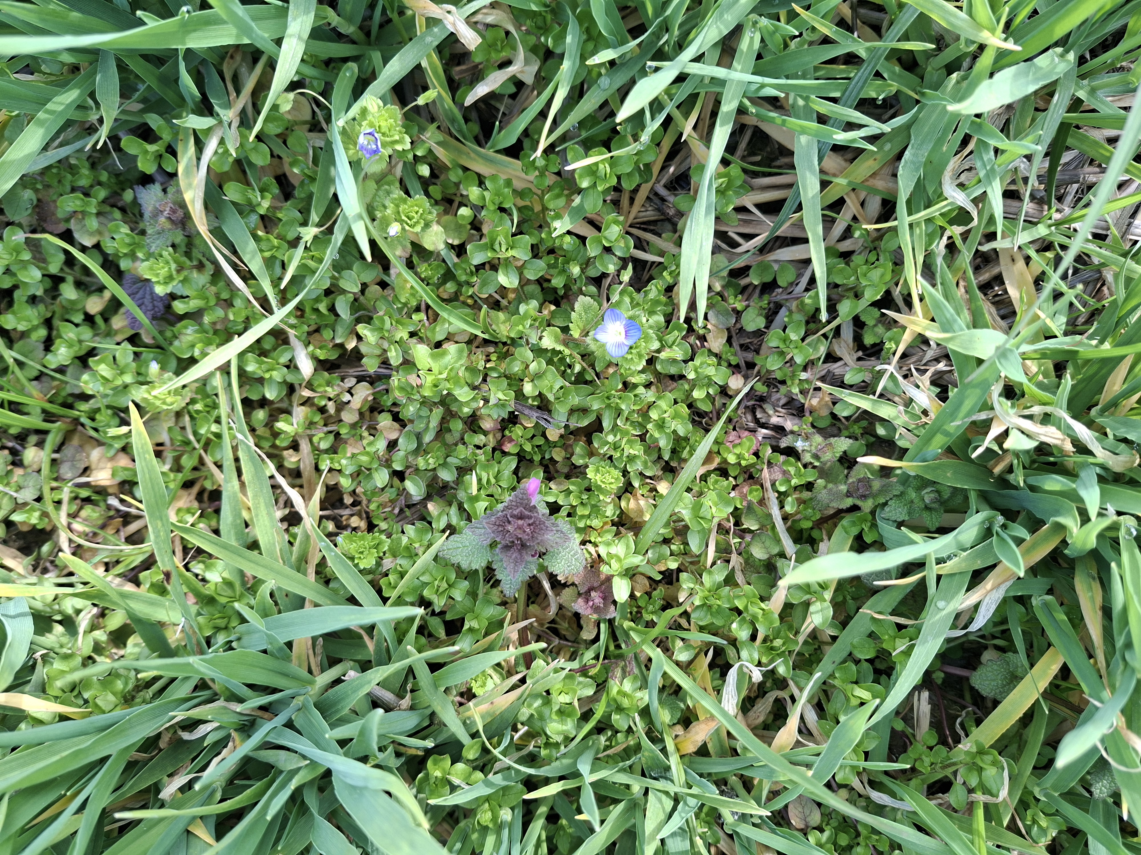 b0dd479b-fccf-4f0f-07f1-08de7ab99ee5-image