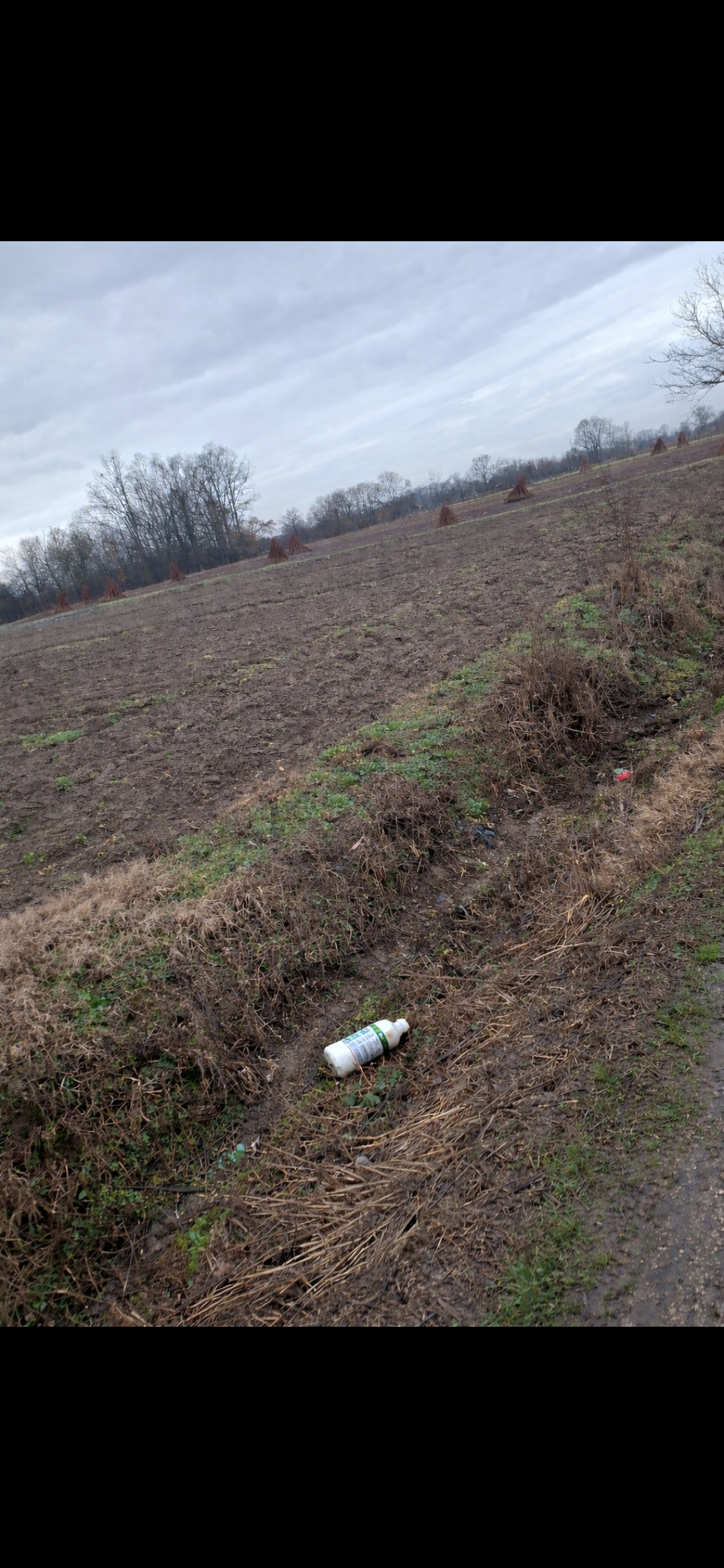 image-5a25e9b6-2017-40b4-bc51-08de63c196da