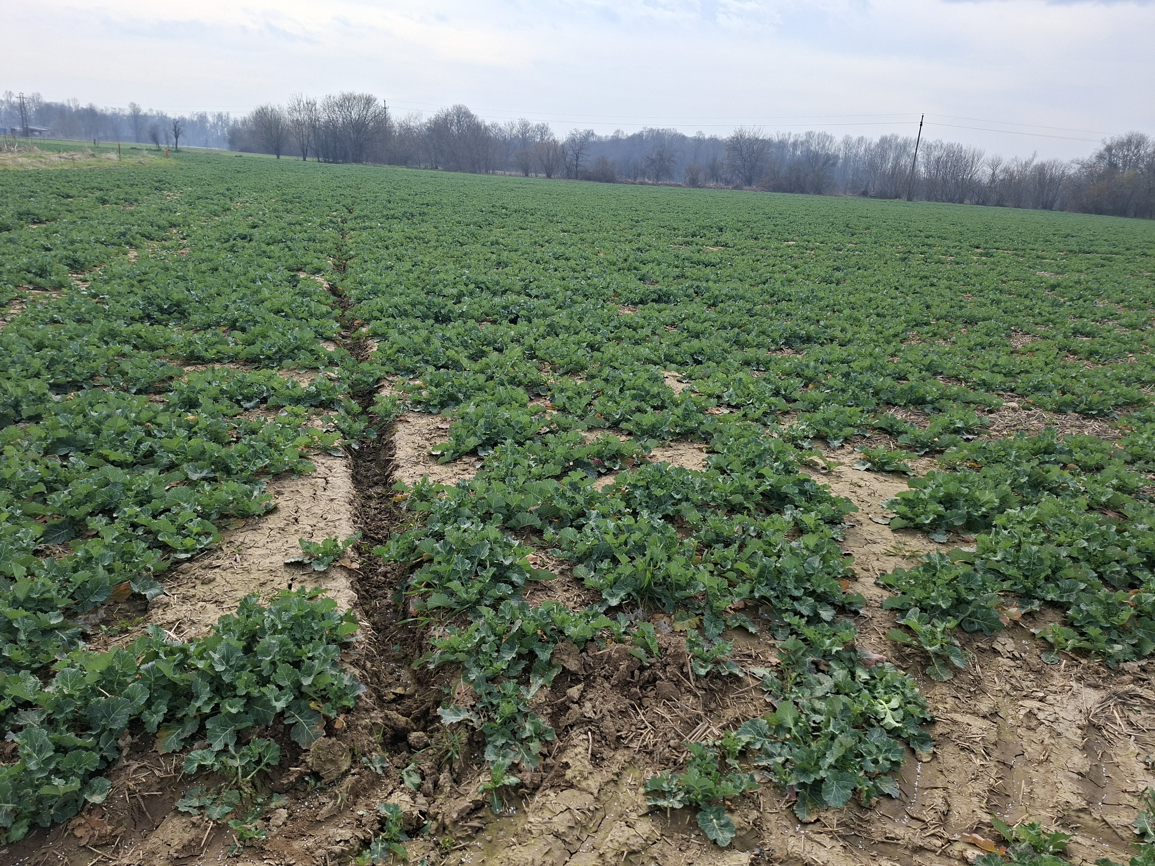 image-4ae79e21-aca5-4845-a6e7-08de7b6634a8