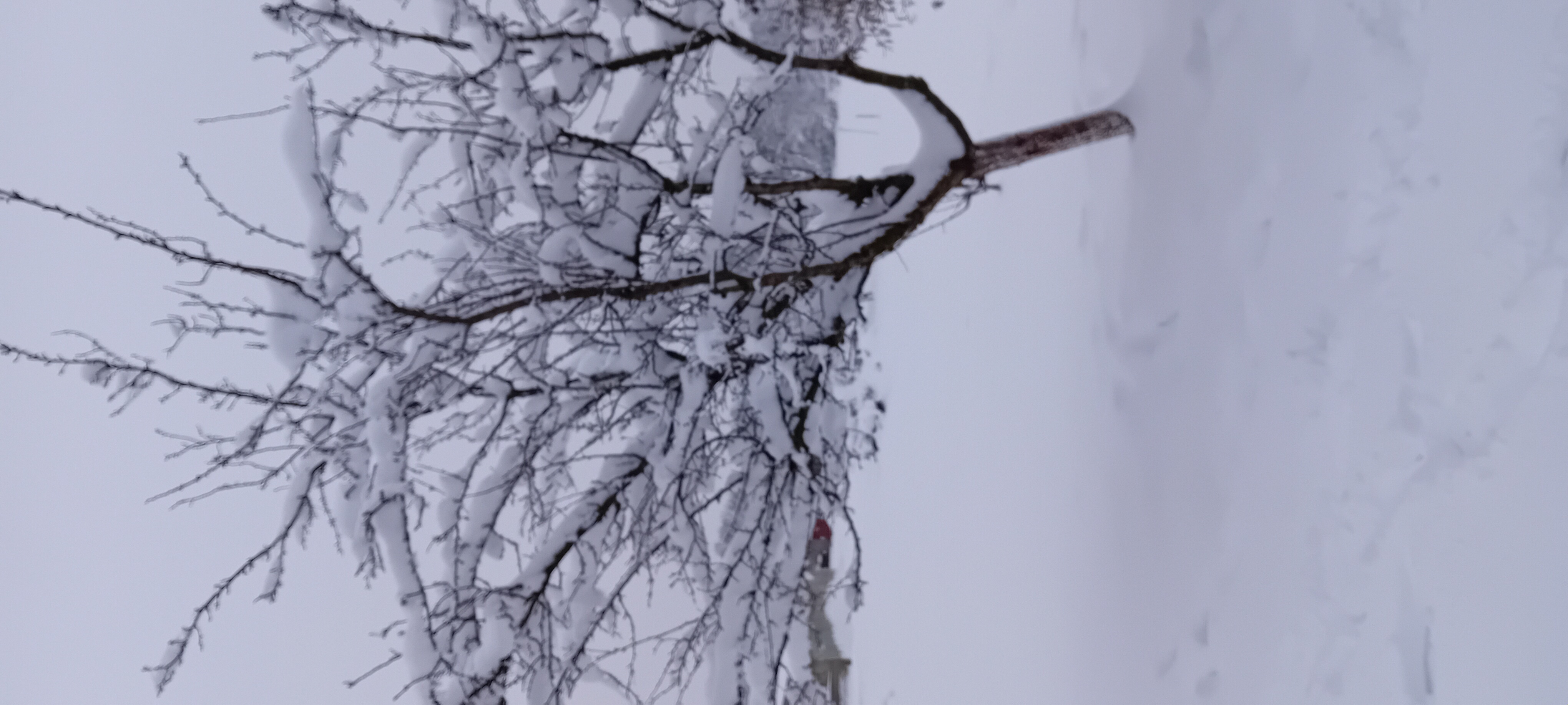 image-32a42934-7da8-4140-6496-08de4ea8243e