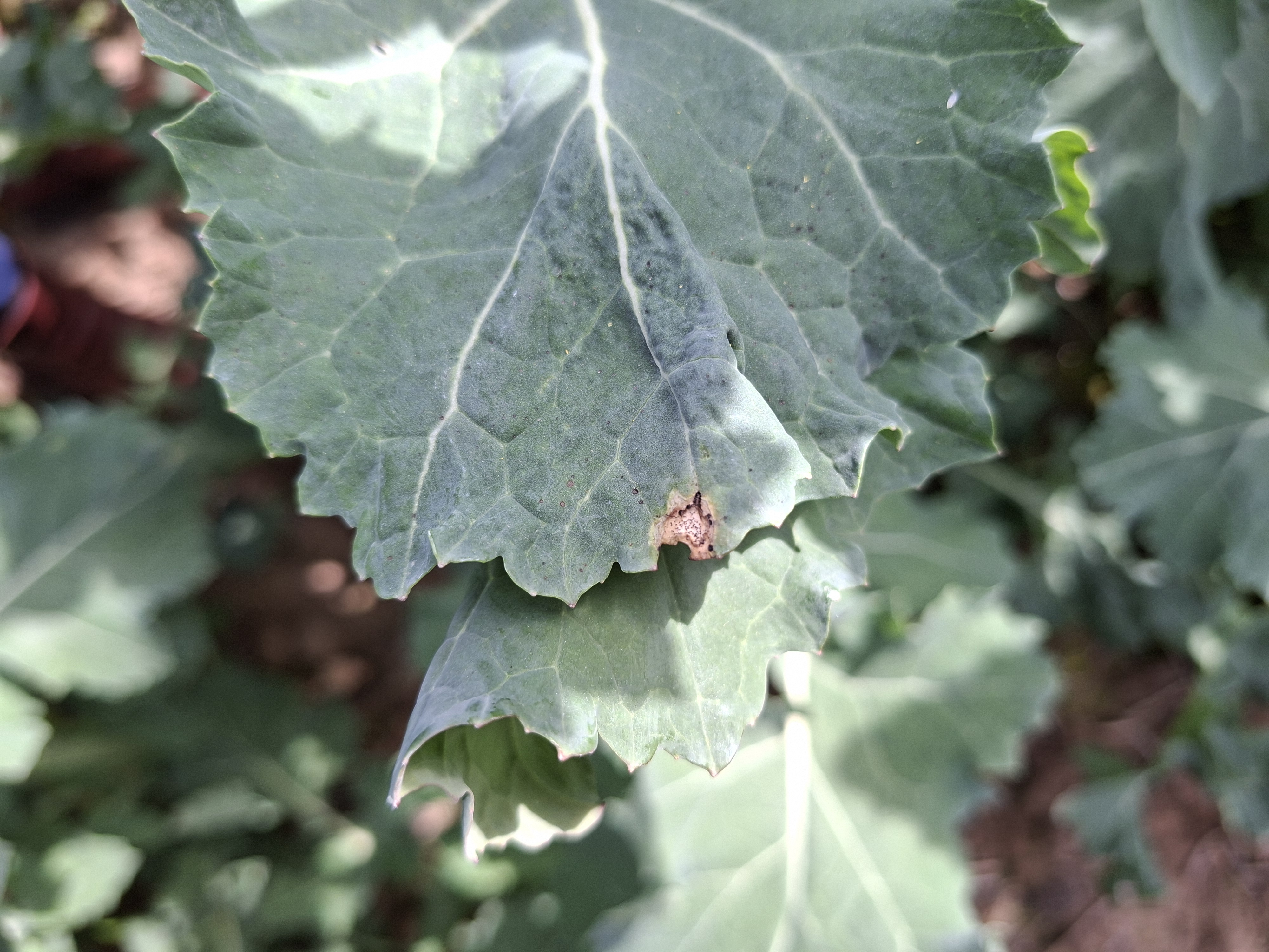 109f195b-c9d7-4005-08a5-08de96f75282-image