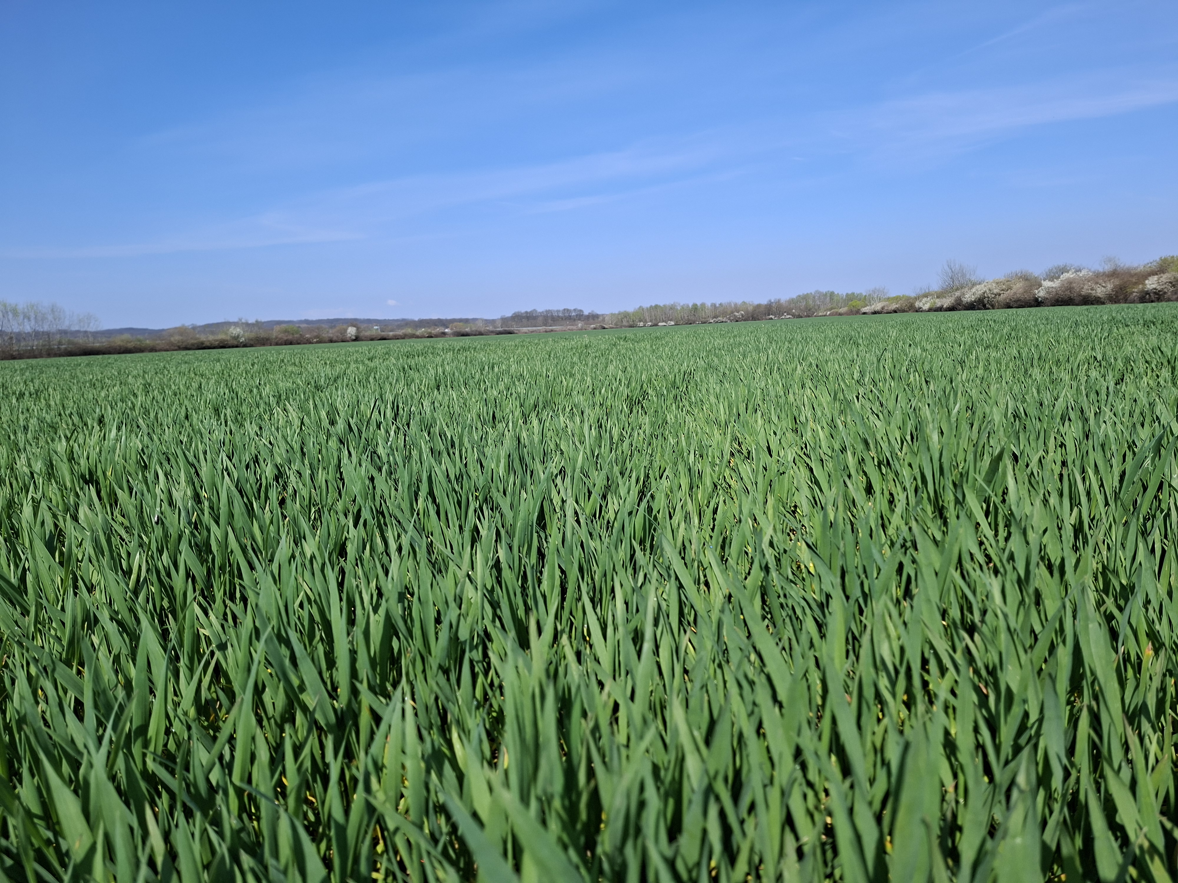 image-2ddc73f7-4a3d-4a2a-482b-08de8a38c661