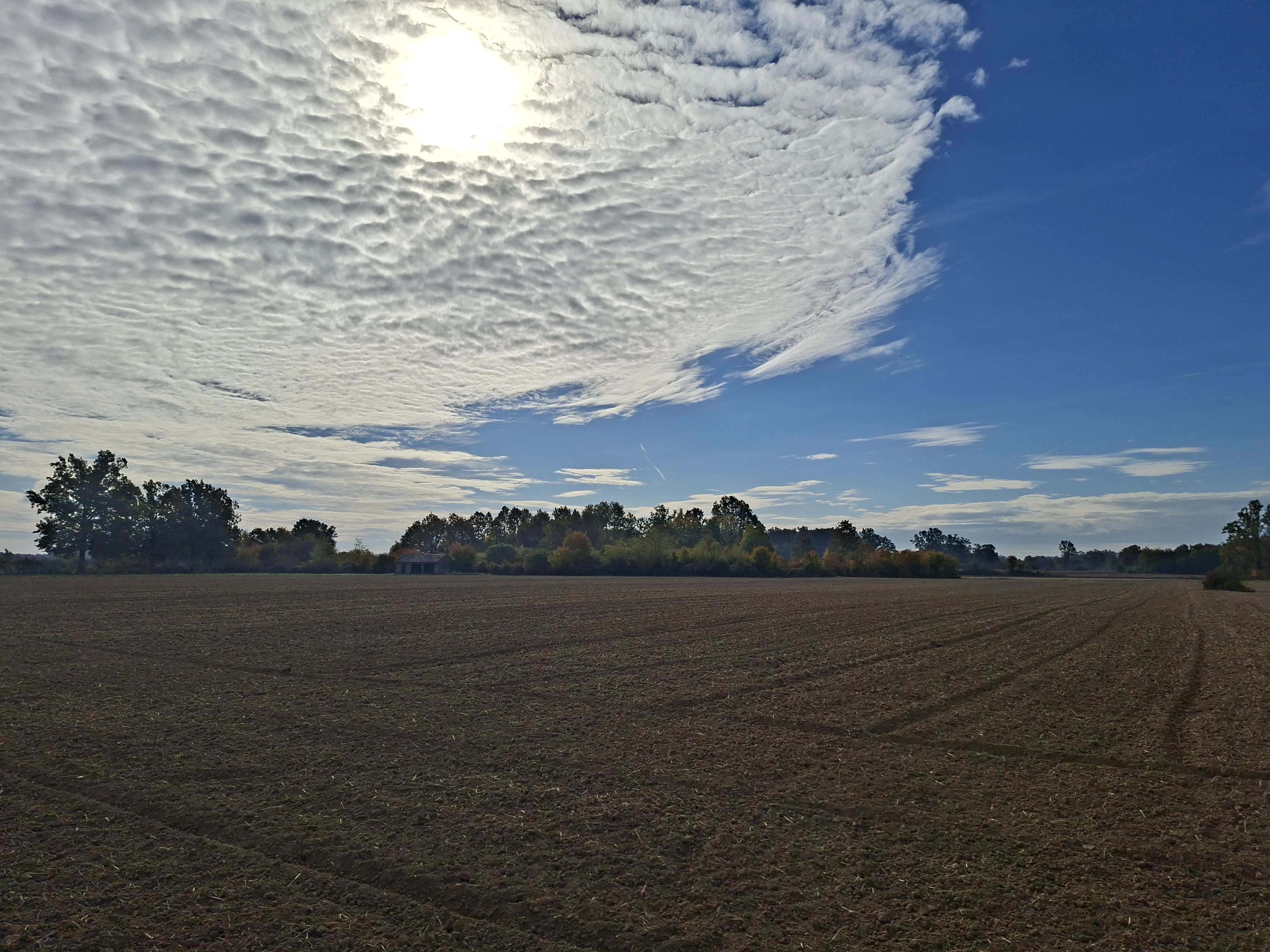 2d8f60e8-730c-4b63-9503-08de9ec32358-image