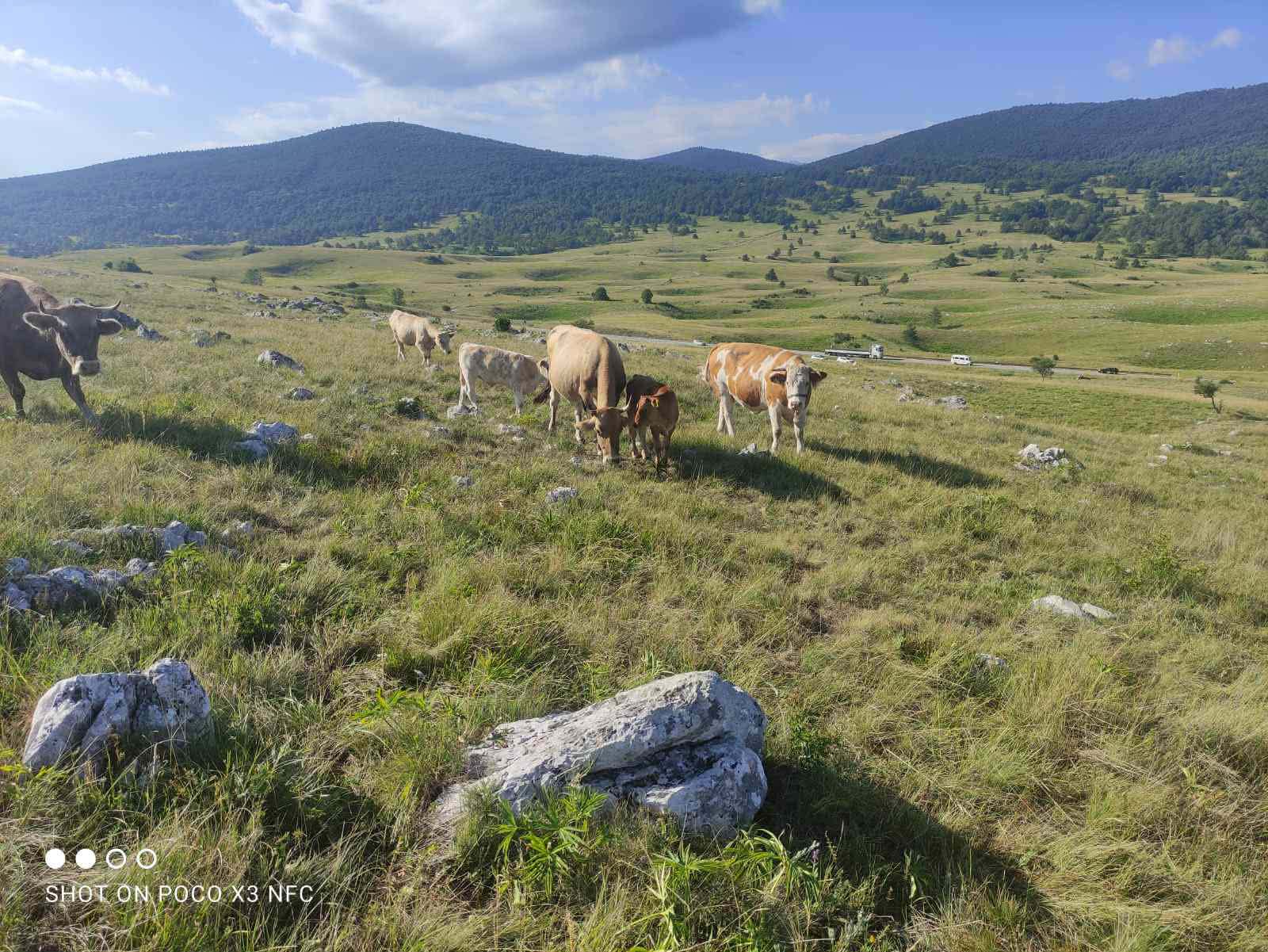 9324784a-2215-4161-137e-08de8dbfe32b-image