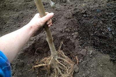 image-8874d461-a085-4df6-f0b2-08de2d8877d3