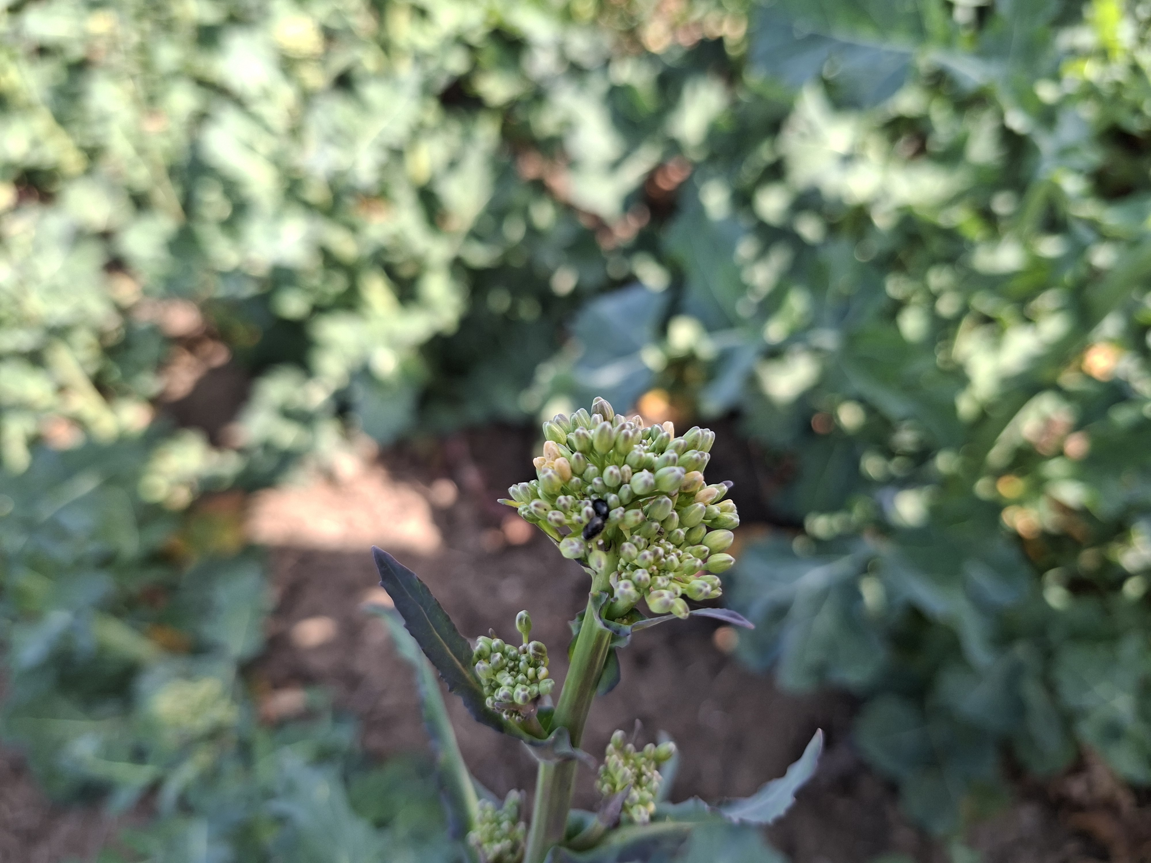 image-6f41476d-cbe5-4714-dcc2-08de8b0a75c2