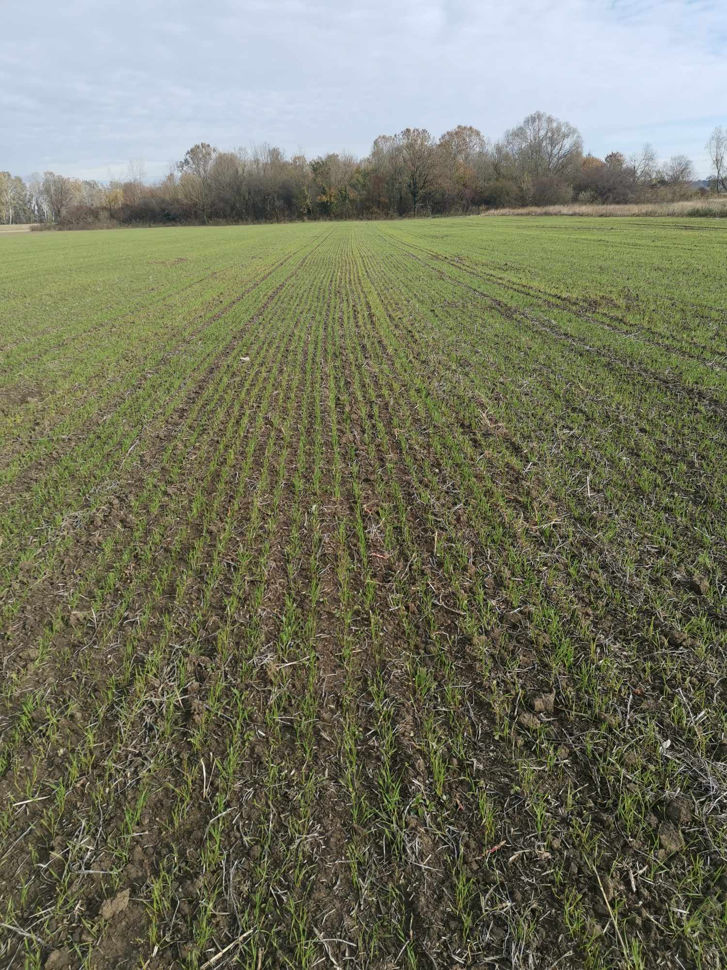 image-73fd0838-56dd-4393-9b5d-08de17a5e5f1