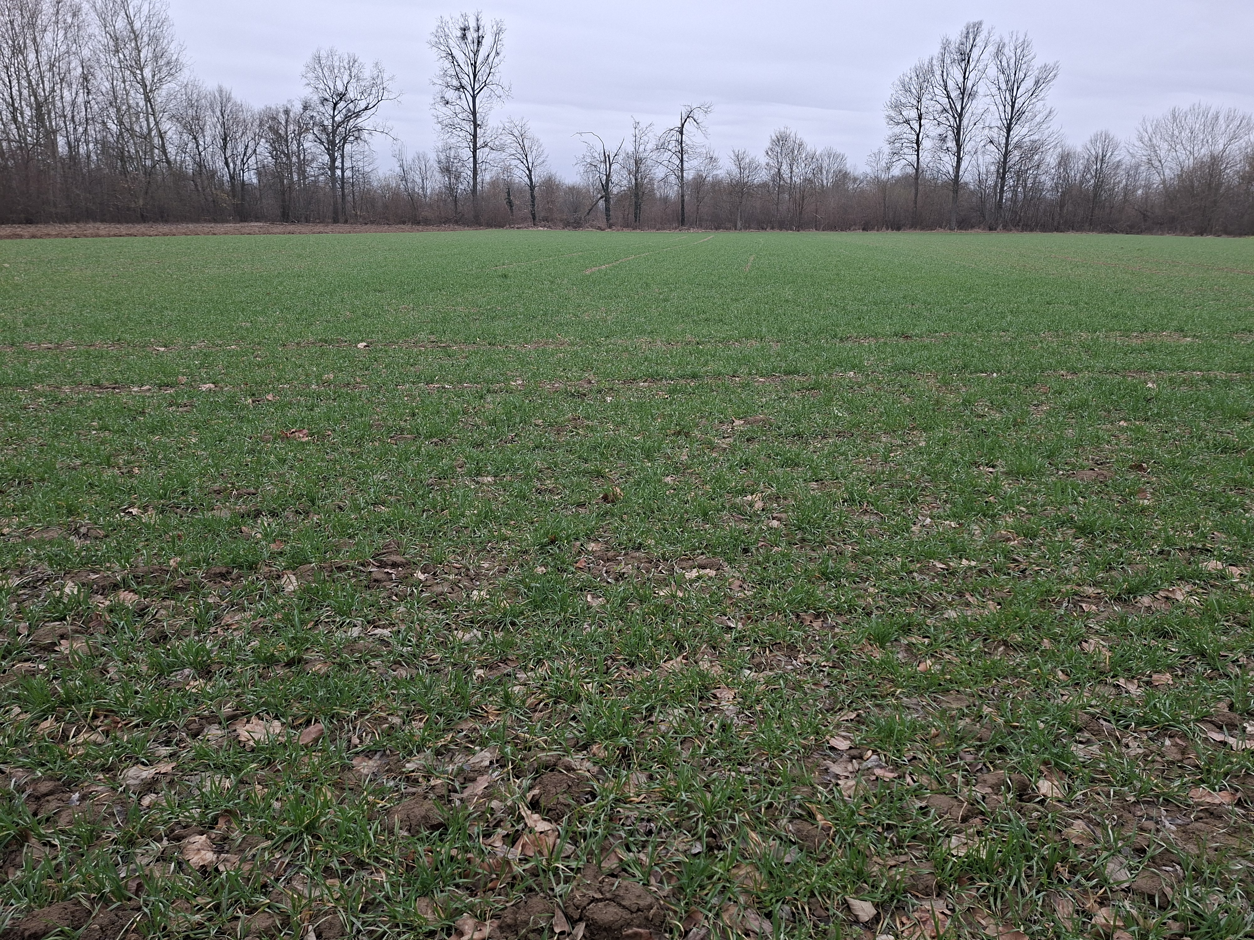 image-c8f29c49-60c6-4b22-037a-08de696136bd