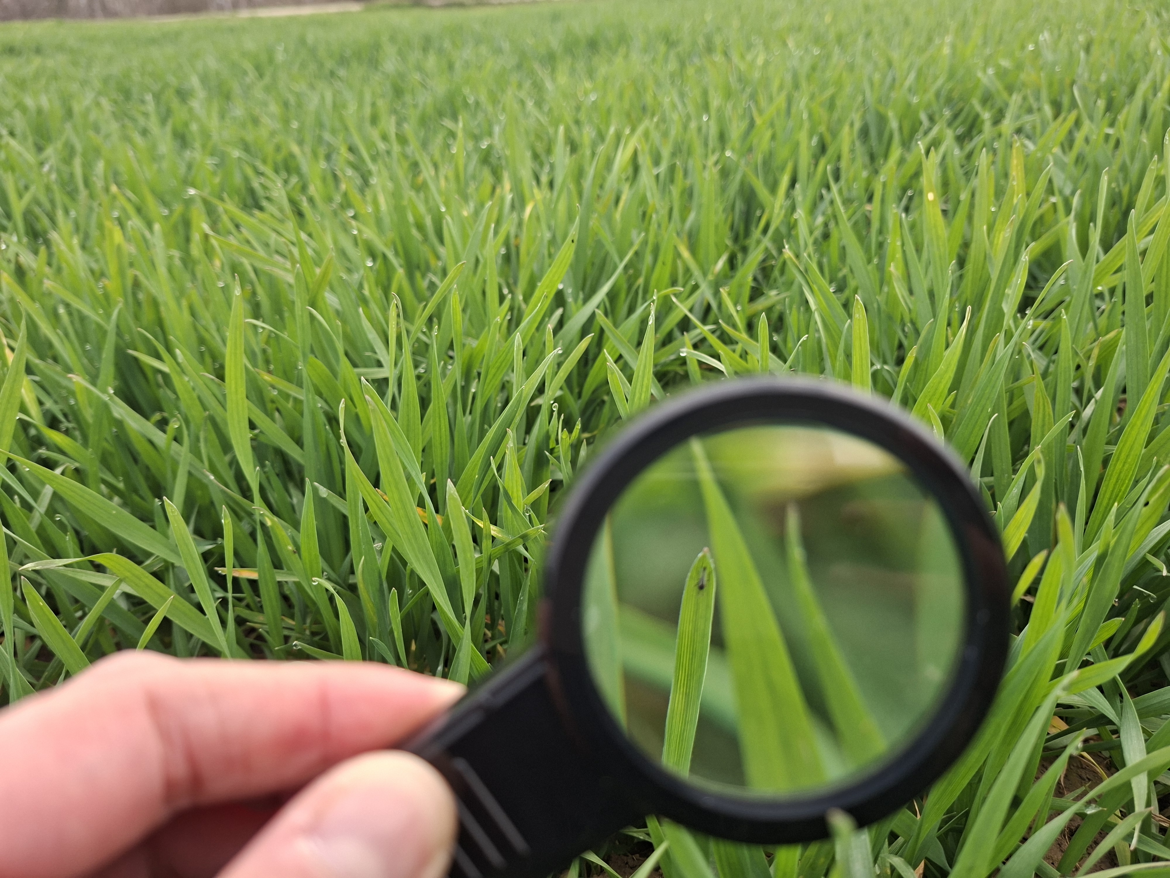 f7e5421c-22cd-4aa2-07f0-08de7ab99ee5-image