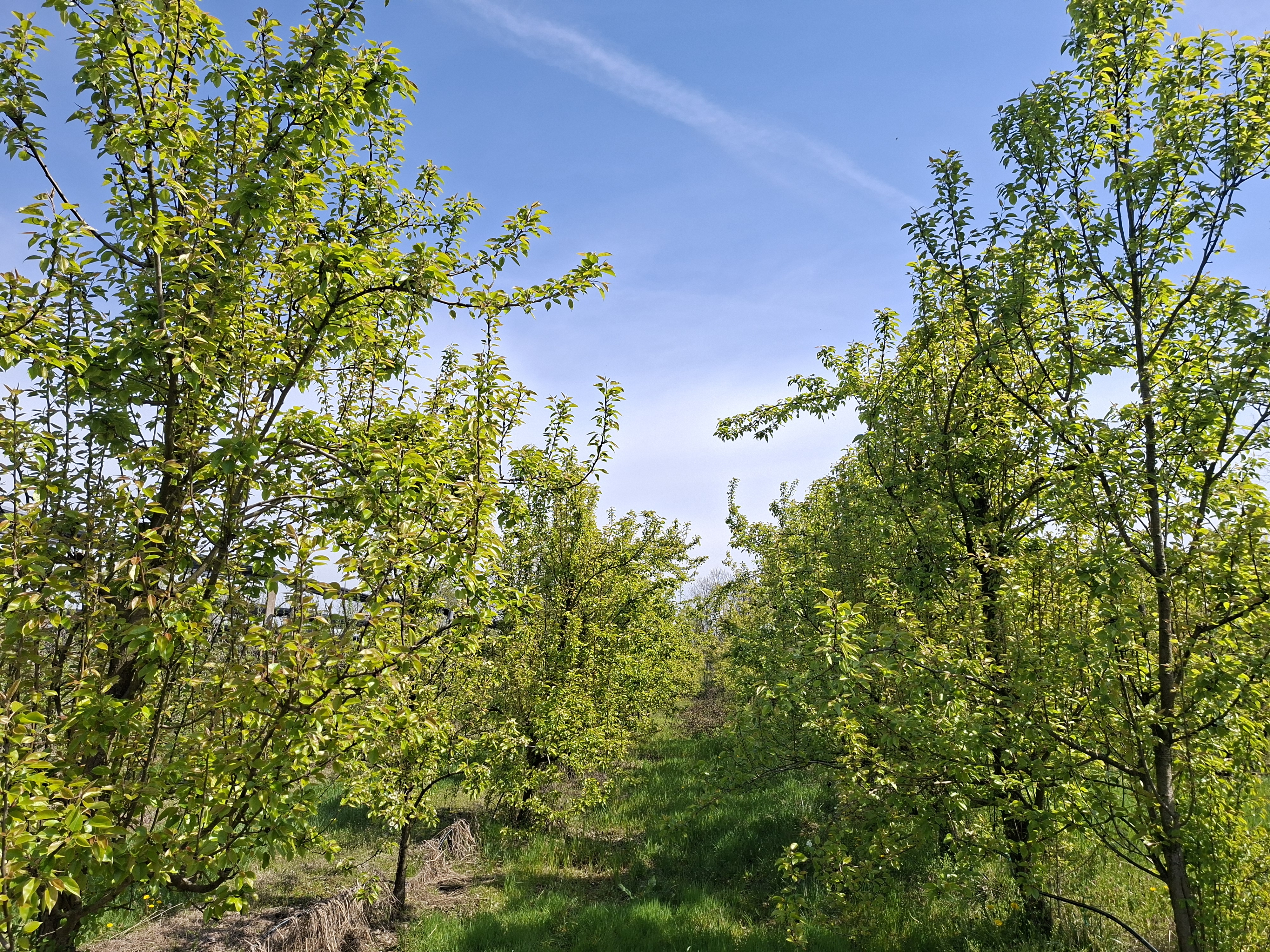 image-7fd4ee5e-efc9-490f-e9a5-08de9ab99f9c