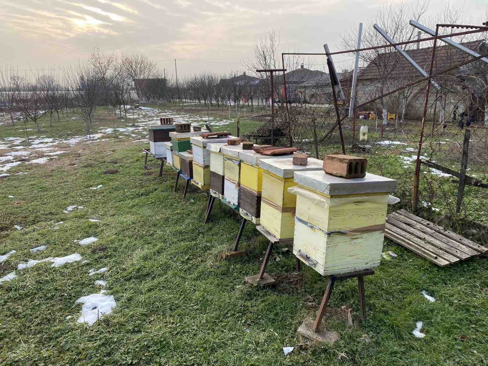 image-ada63a74-def7-4bbb-bead-08de59adaebb