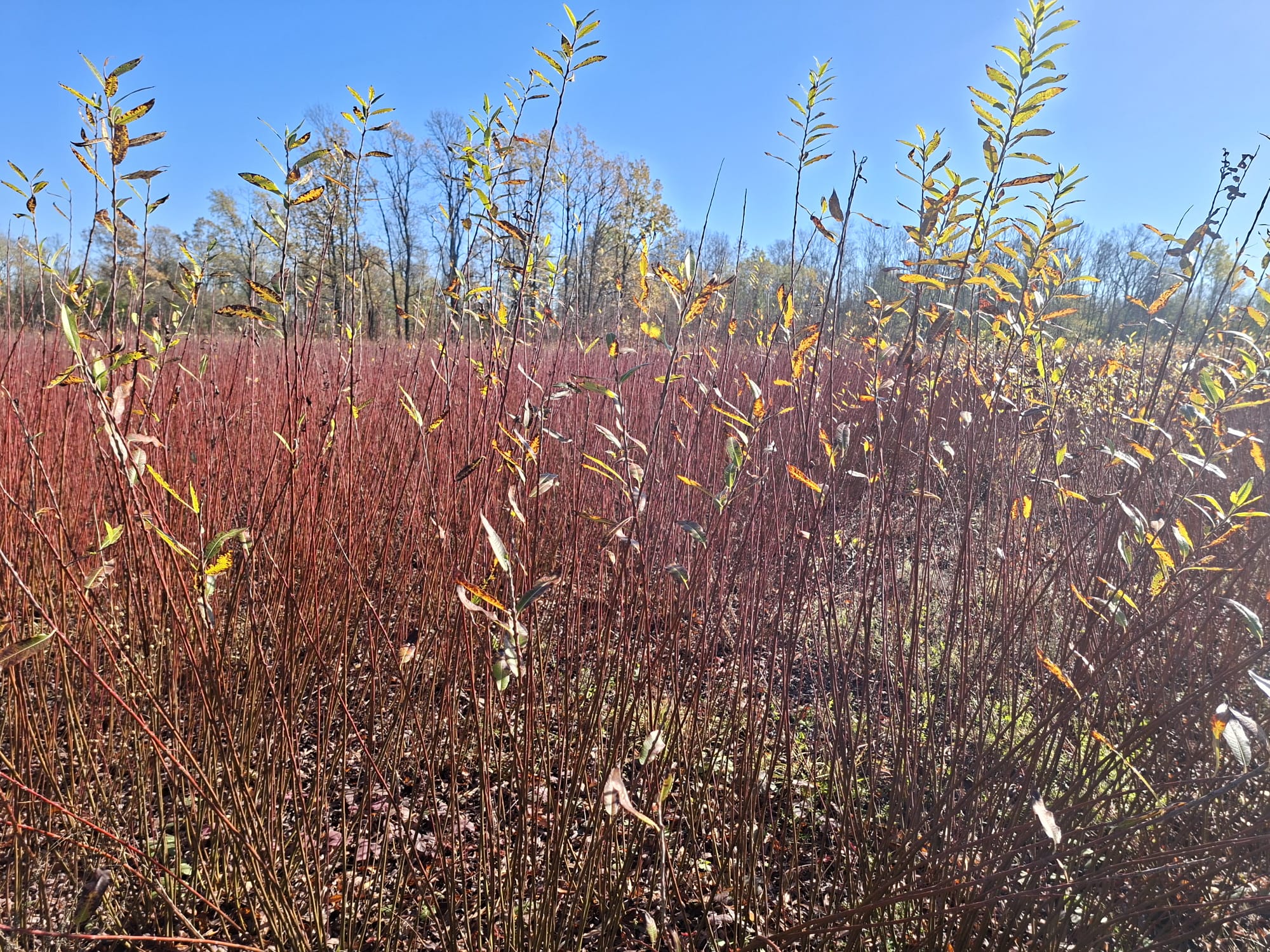 image-7b7b9711-c923-4e1b-6401-08de2671499b