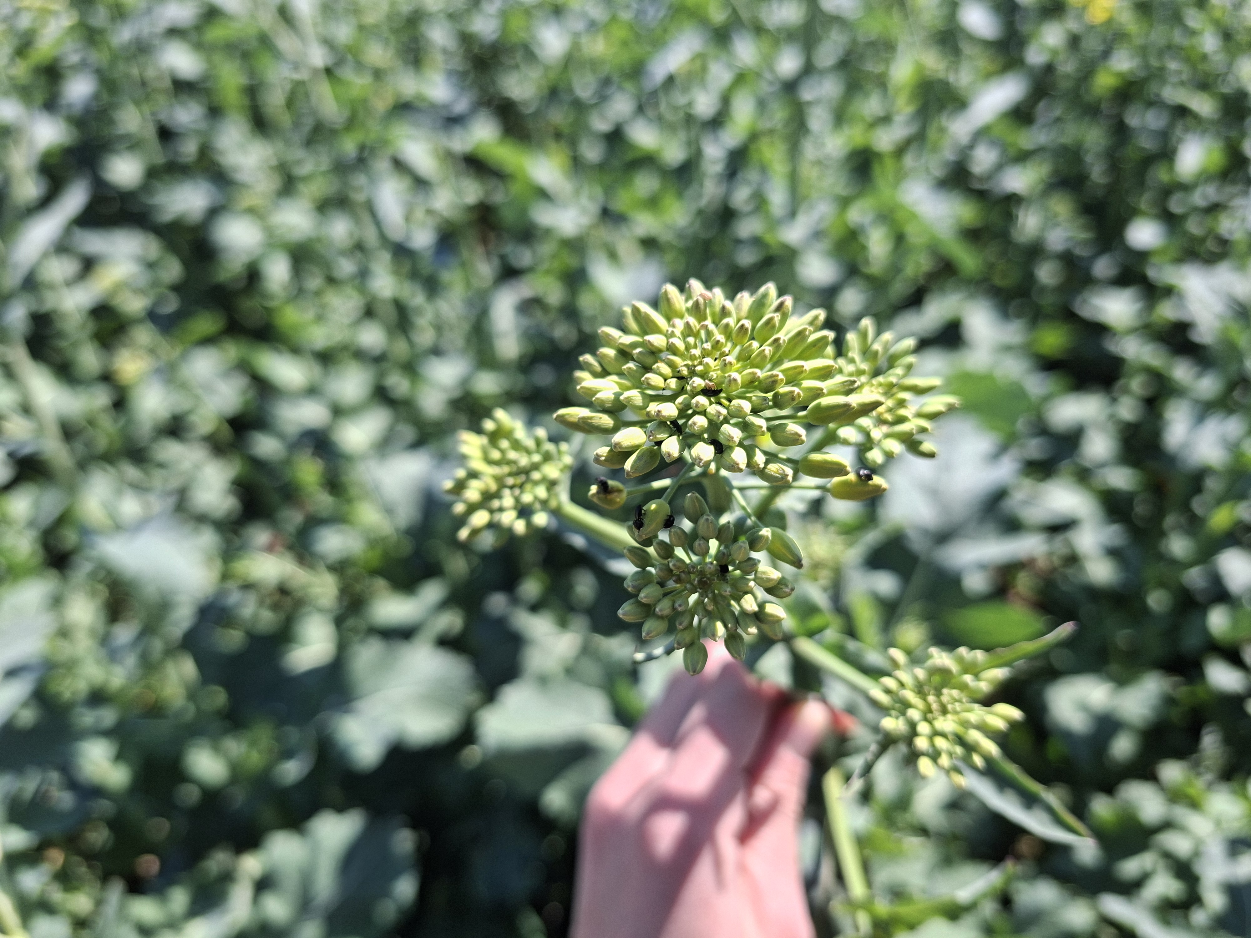 b51d3a5c-77be-4793-255b-08de94a632e9-image