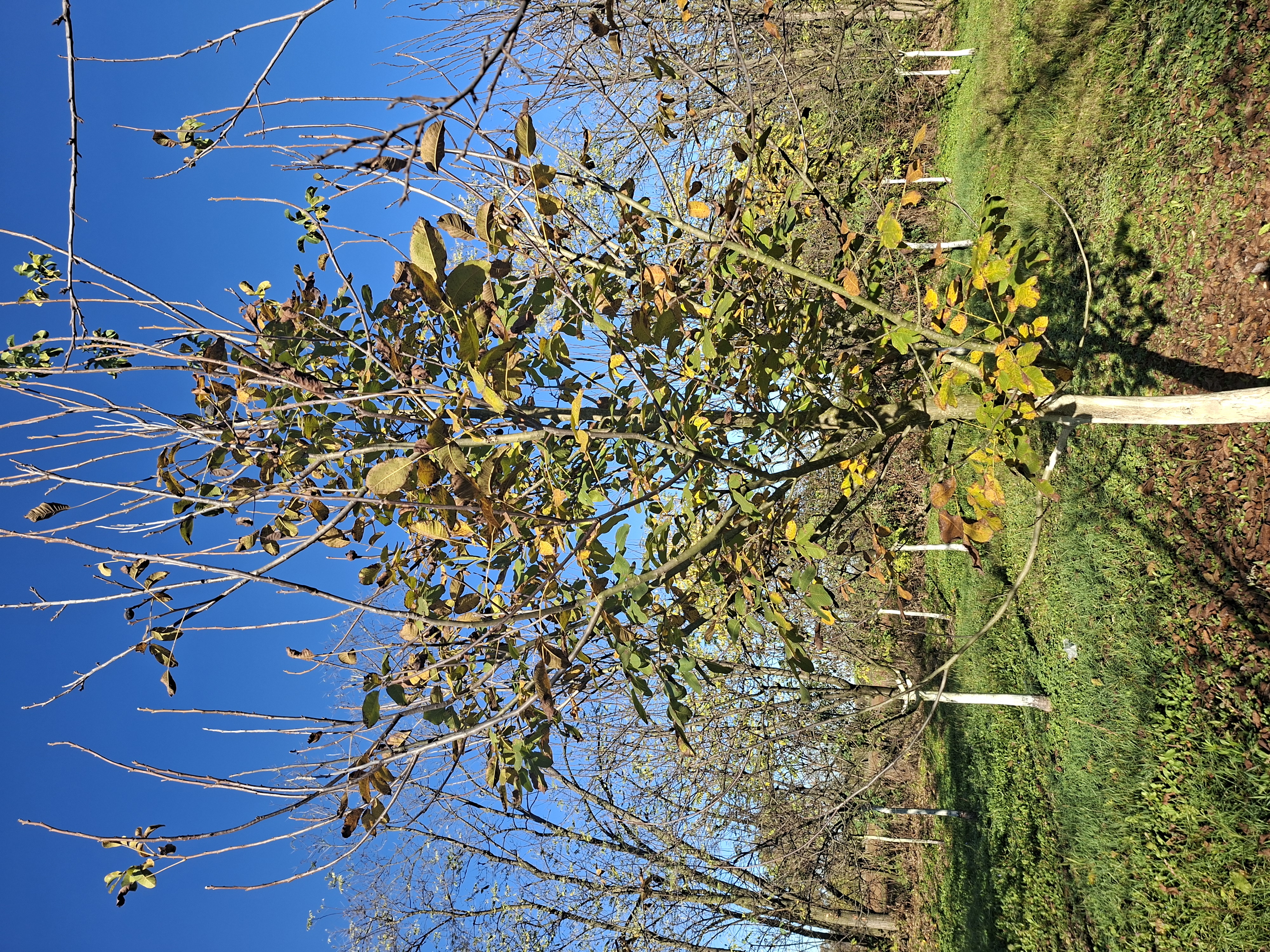 image-6f64daf9-3ea5-4f1e-b4fa-08de15f91cc7