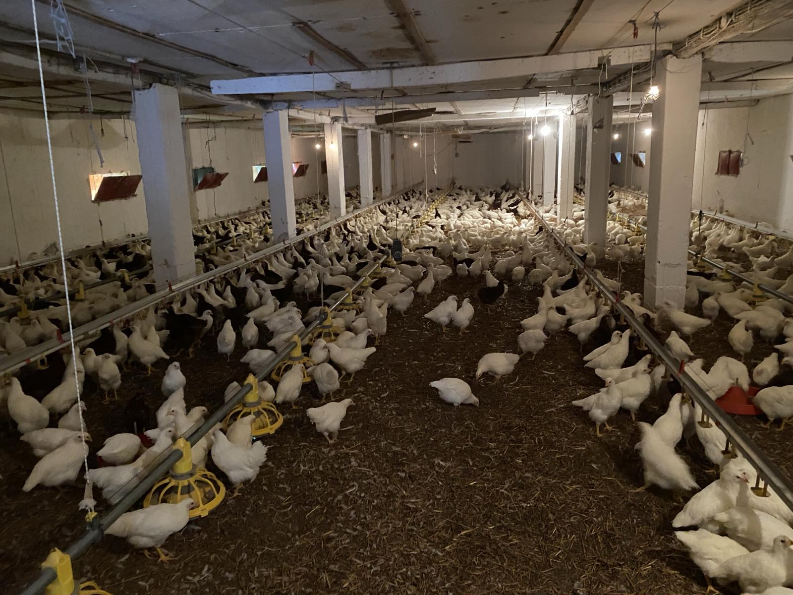 image-f22cb6cf-5ec2-4b7d-9c1e-08de2286cd34