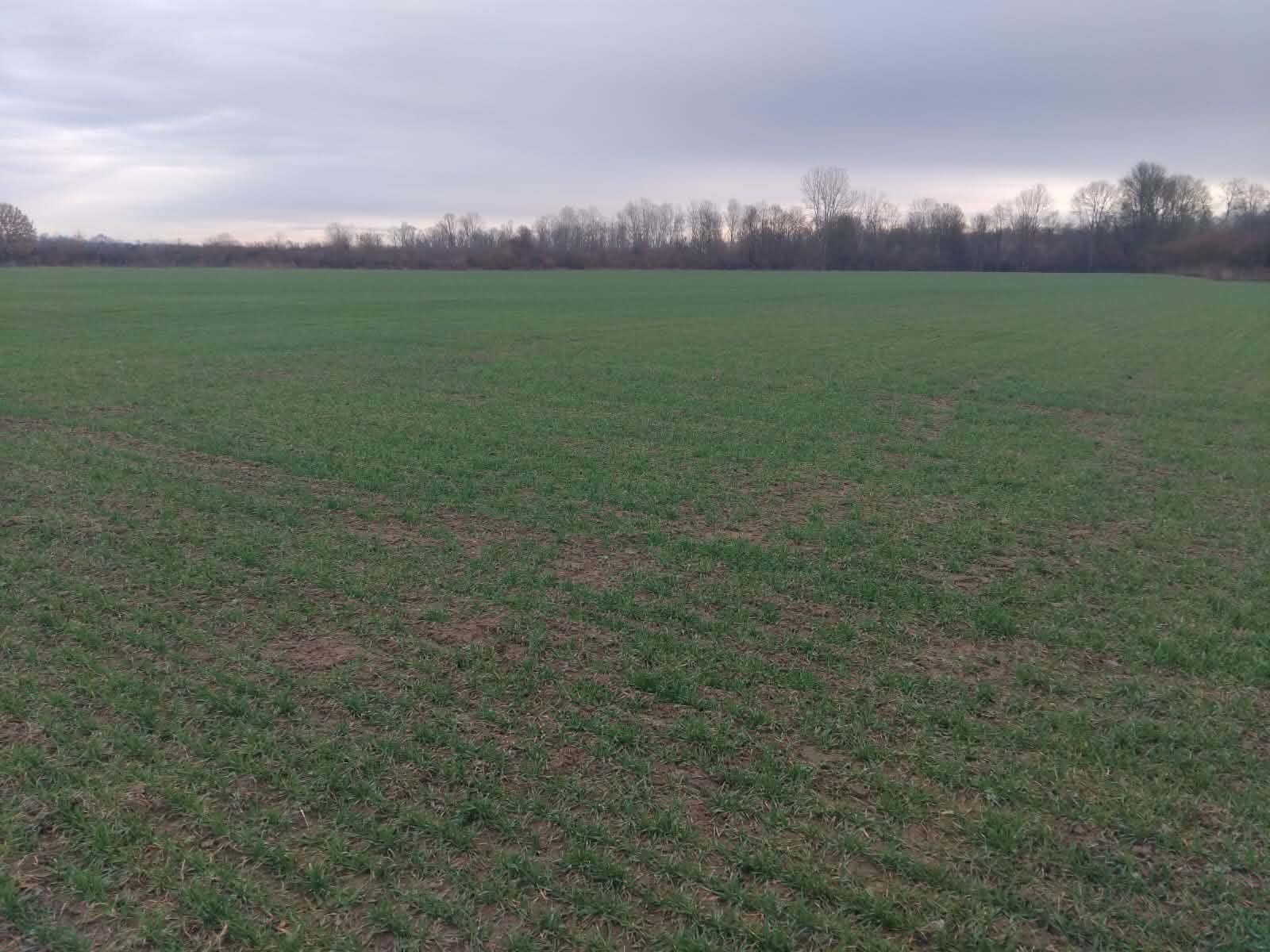 image-493f0bde-fb5a-4183-7875-08de6d31d804