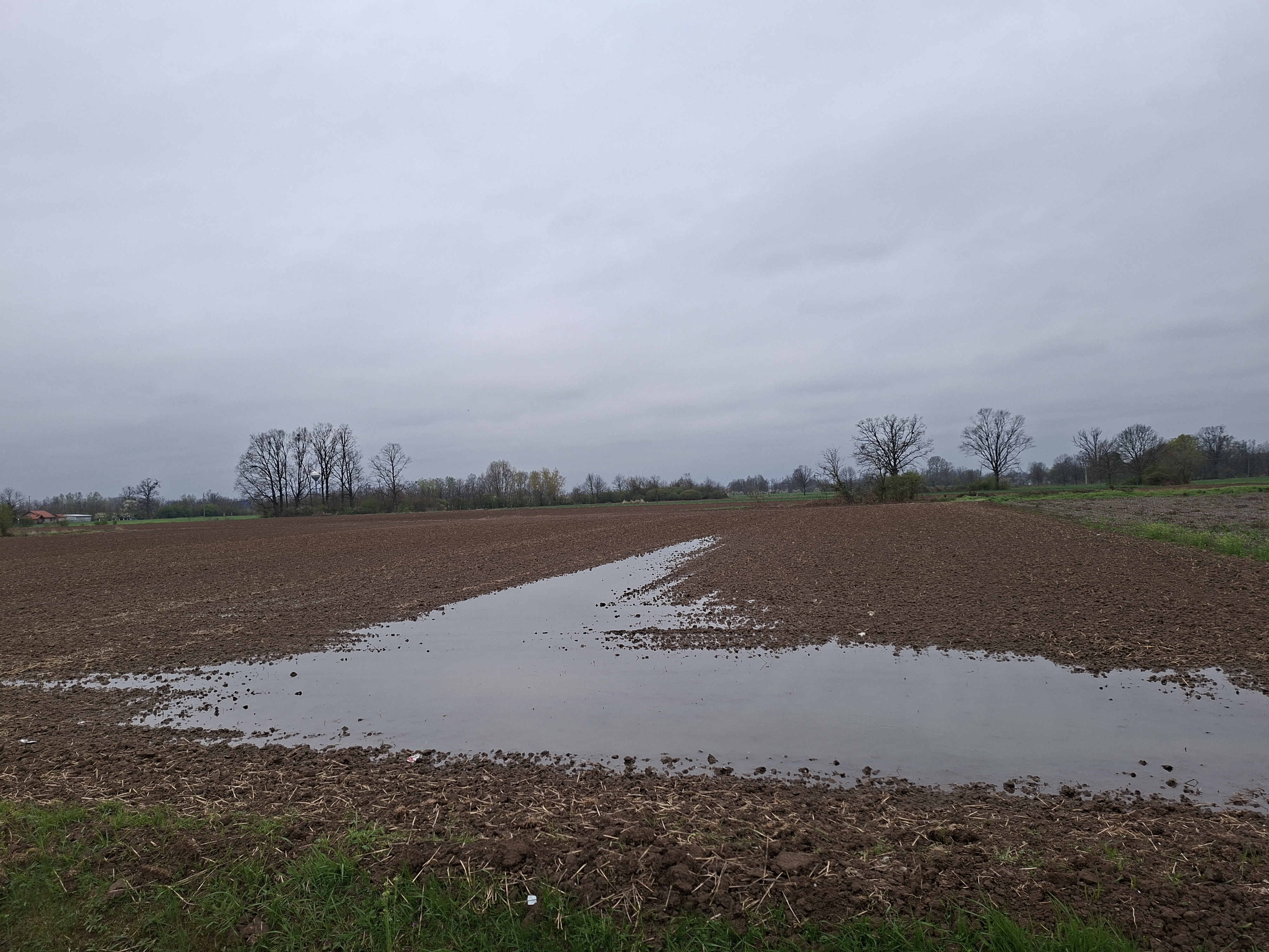 image-37d2d29f-9801-442e-1a33-08de9080f6a0