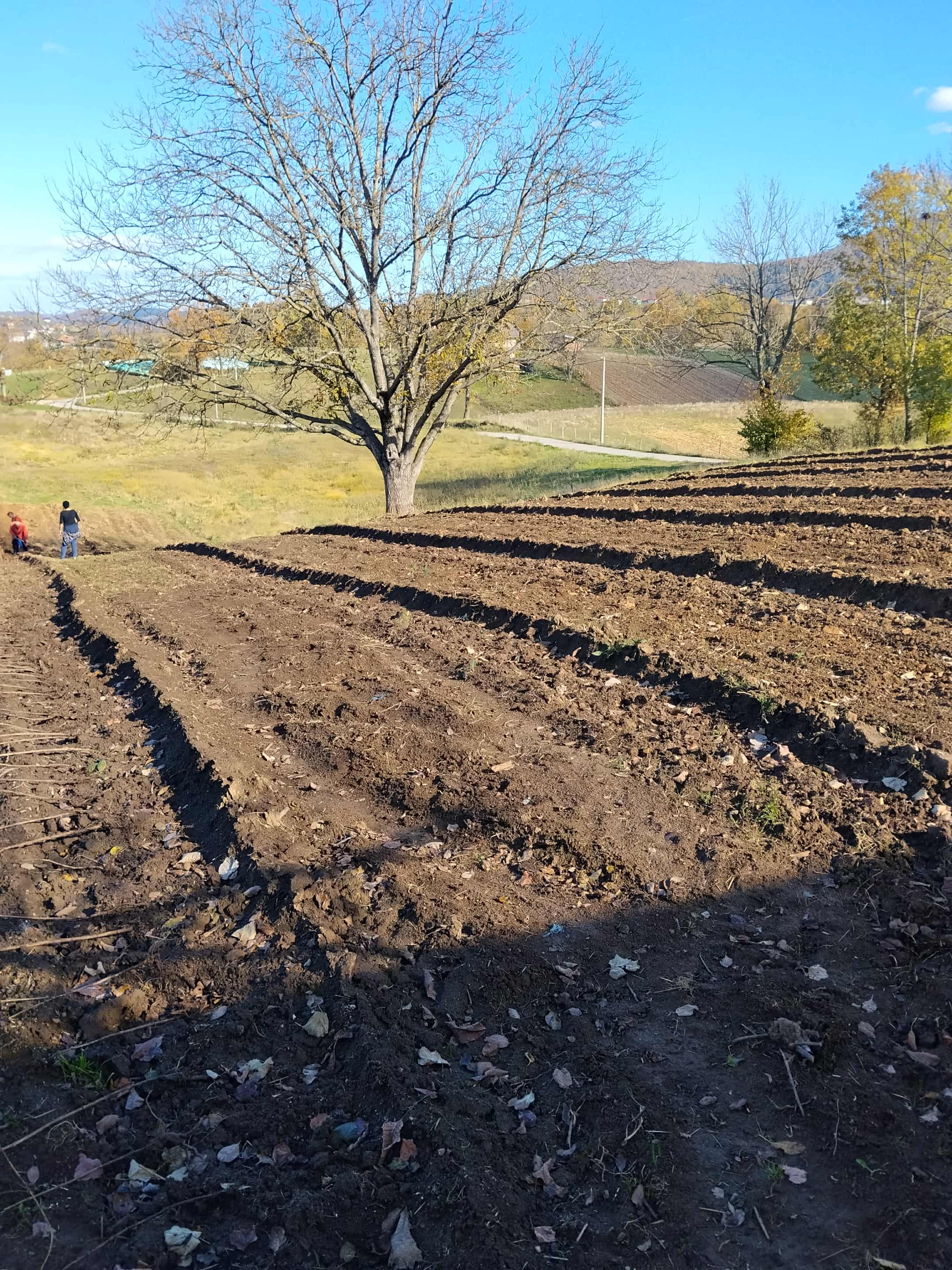 image-c16a1e1c-5901-4018-9b5e-08de17a5e5f1