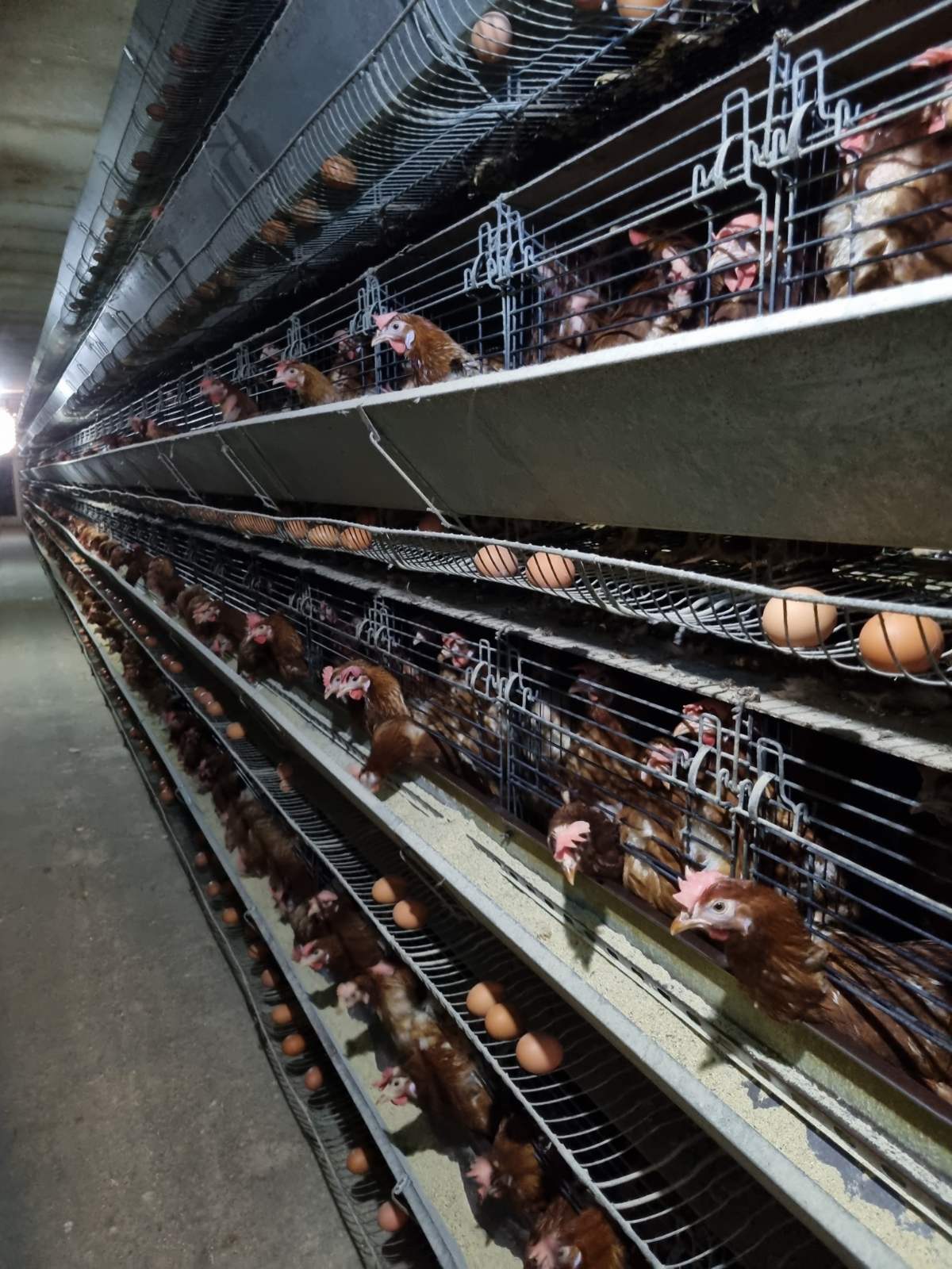 image-5737c0f4-2cde-47b0-b75a-08de79d59134