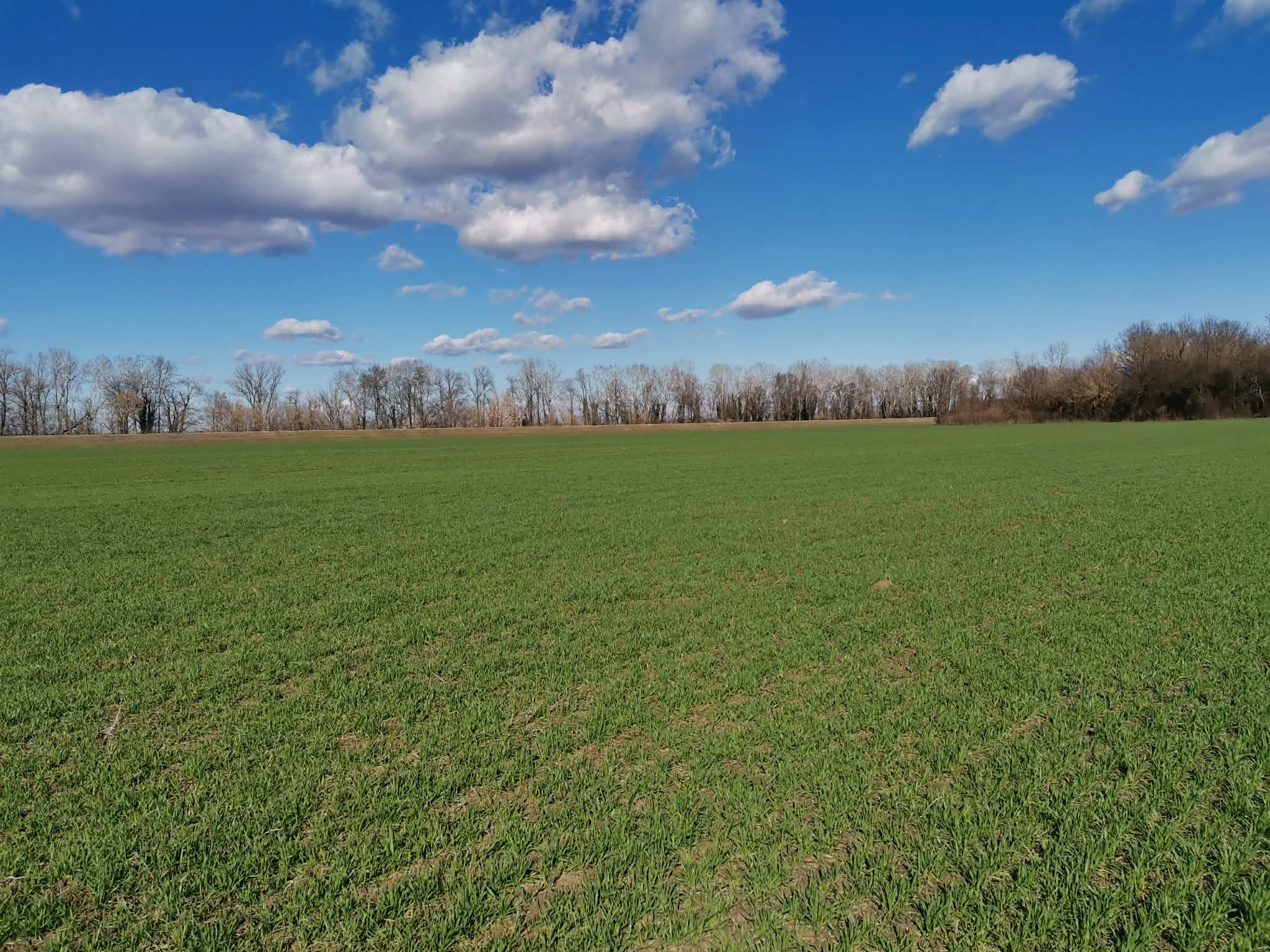 image-93237622-c5cc-4804-0f93-08de72b515d4