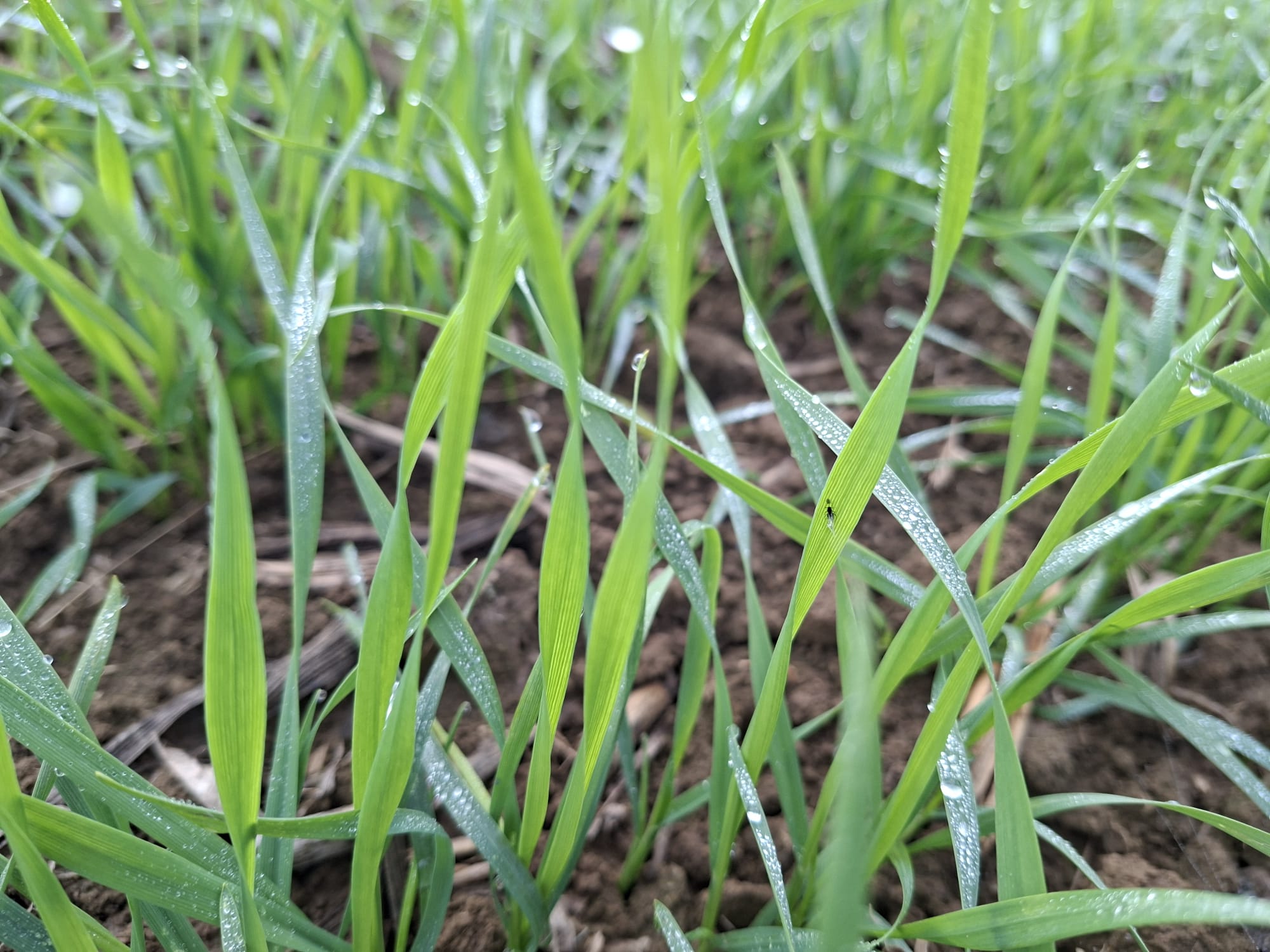 image-b63f2252-6b34-4630-8abe-08de282bb735