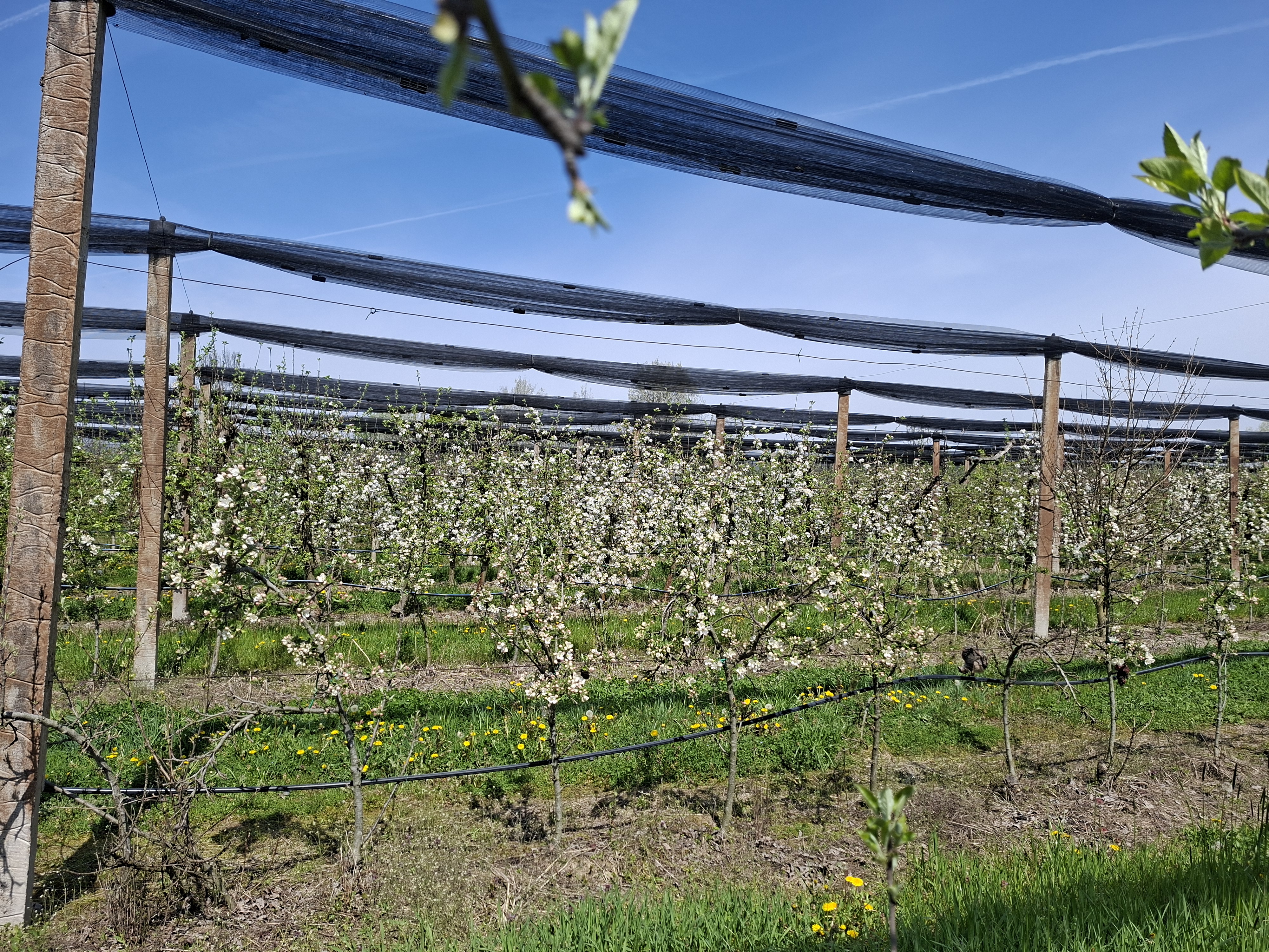 image-ce881fa7-c011-405f-e9a3-08de9ab99f9c